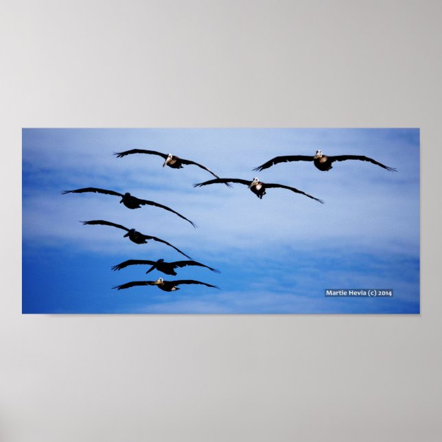 Pelican Cluster IV Poster (Framsidan)