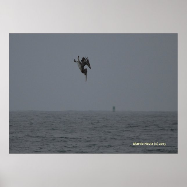 Pelican Dives Poster (Framsidan)