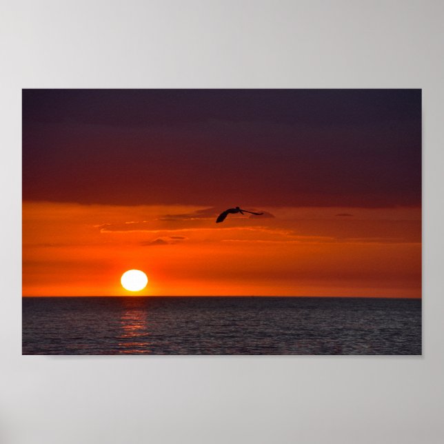 Pelican Flies at Sunset Poster (Framsidan)