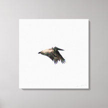Pelican Flight | Ft Myers, FL | 24x24-arbetsyta
