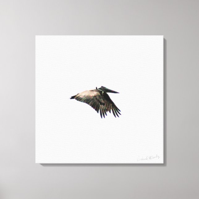 Pelican Flight | Ft Myers, FL | 24x24-arbetsyta Canvastryck (Framsida)