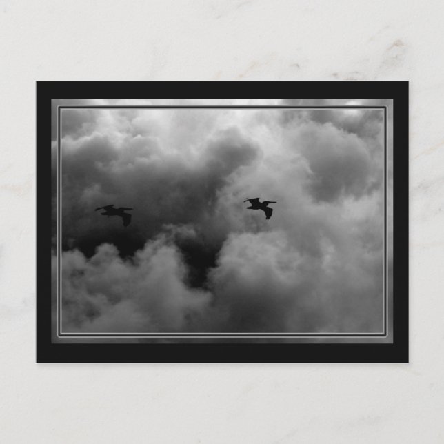 Pelican Flight Vykort (Framsida)