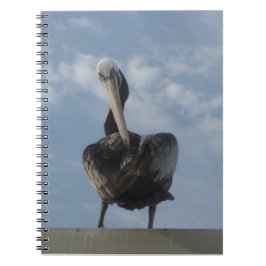 Pelican från Perus bärbara dator Anteckningsbok