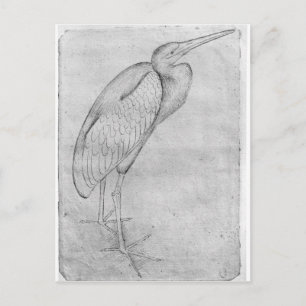 Pelican, från Vallardi Album Vykort
