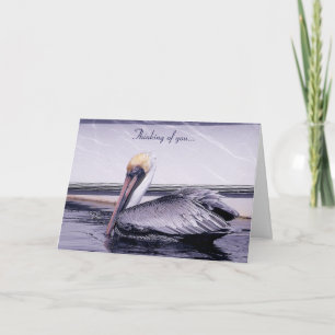 Pelican Gliding Kort