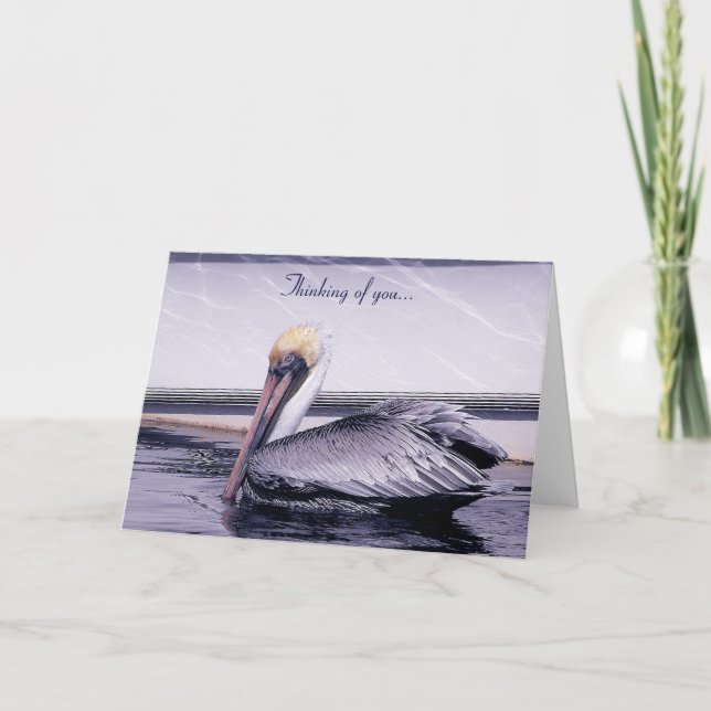 Pelican Gliding Kort (Framsida)