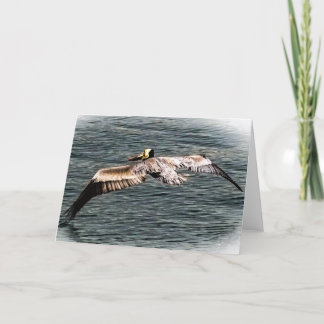 Pelican Greeting Card Kort