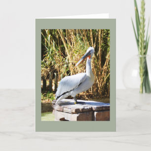 Pelican Helgkort