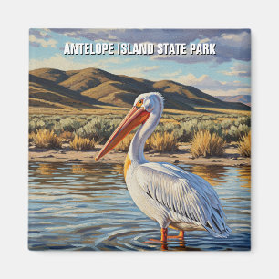 Pelican i Antelope Island State Park Utah Magnet