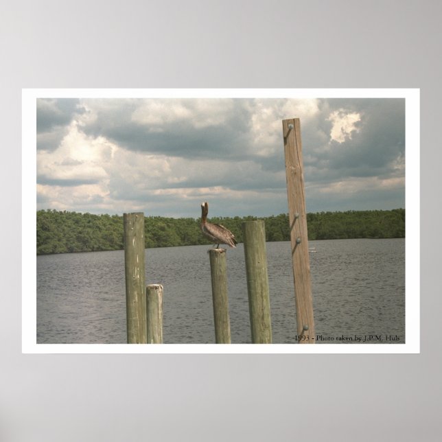 Pelican i mitten poster (Framsidan)