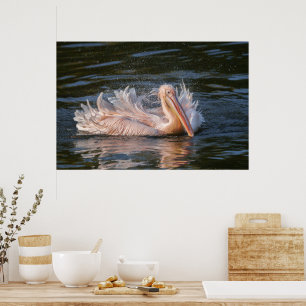 Pelican i Rörelse Poster