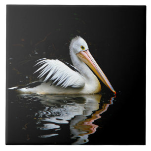 Pelican Kakelplatta