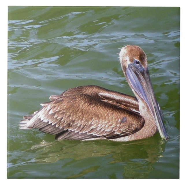 Pelican Kakelplatta (Framsidan)