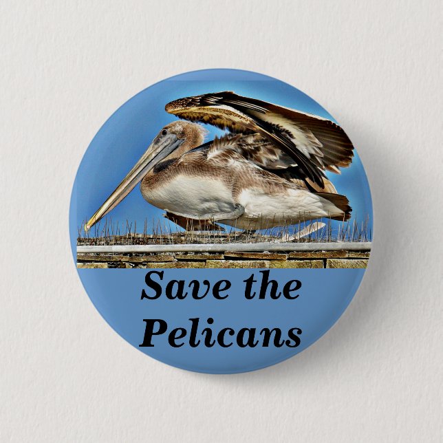 Pelican_ Knapp (Framsida)