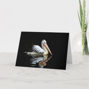 Pelican Kort