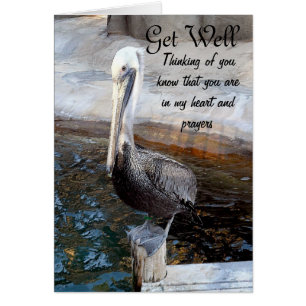 Pelican Love,-Tillfällen_ OBS Kort