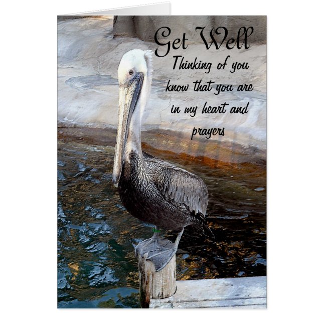 Pelican Love,-Tillfällen_ OBS Kort (Framsidan)