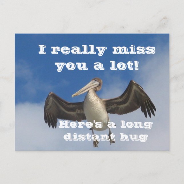 Pelican Love_ Vykort (Framsida)
