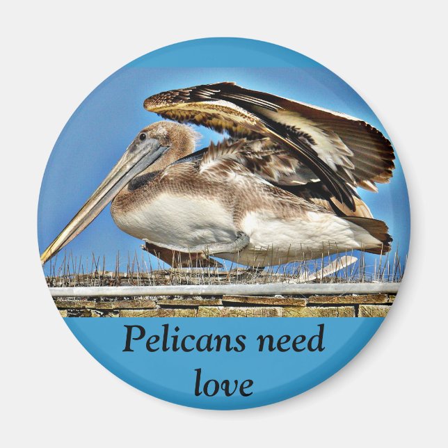 Pelican_ Magnet (Framsidan)