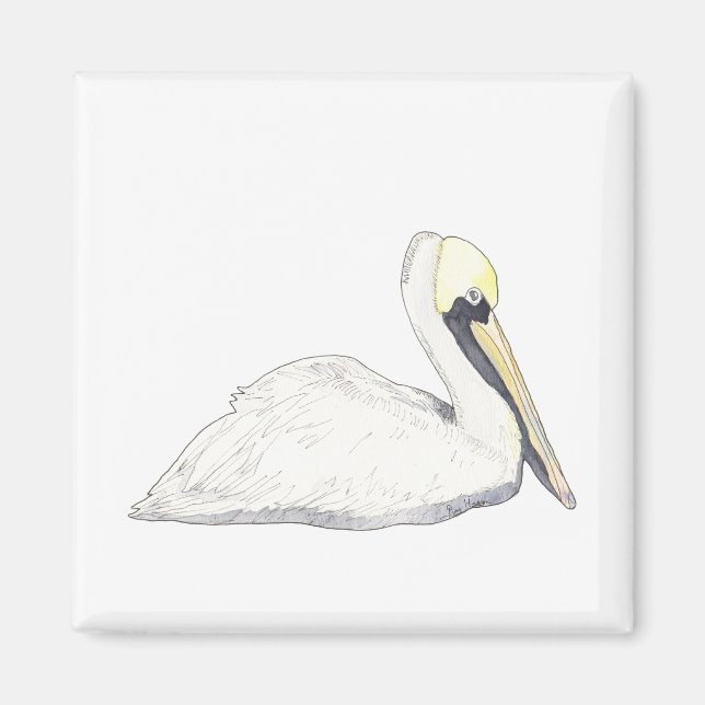 Pelican Magnet (Framsidan)