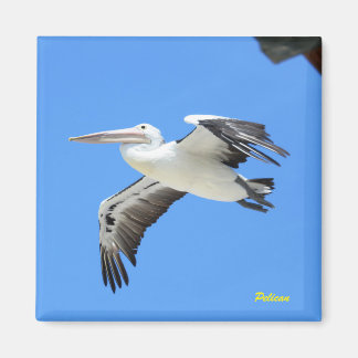 Pelican Magnet