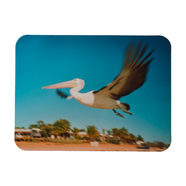 Pelican Magnet (Horisontell)