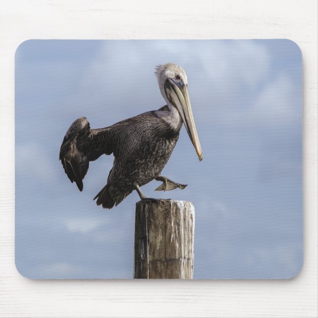 Pelican Mouse Pad Musmatta (Framsidan)