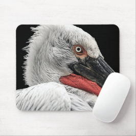 Pelican Musmatta