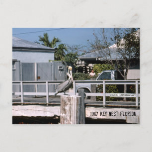 Pelican Nyckel Väster Florida 1987 Vykort
