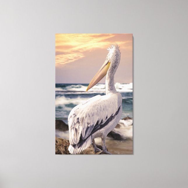 Pelican Ocean Beach Vågar Solnedgång Canvastryck (Framsida)