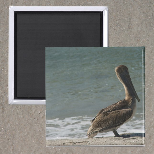 Pelican på Beach Photo Magnet (A magnet with a photo of a brown pelican enjoying some time near the ocean on the beach.)