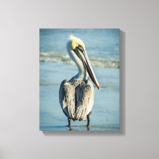 Pelican på en Florida Beach Canvastryck (Framsida)