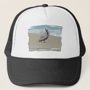Pelican på Outer Banker OBX NC Keps