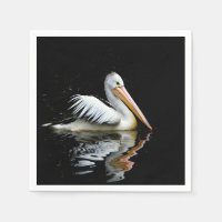Pelican