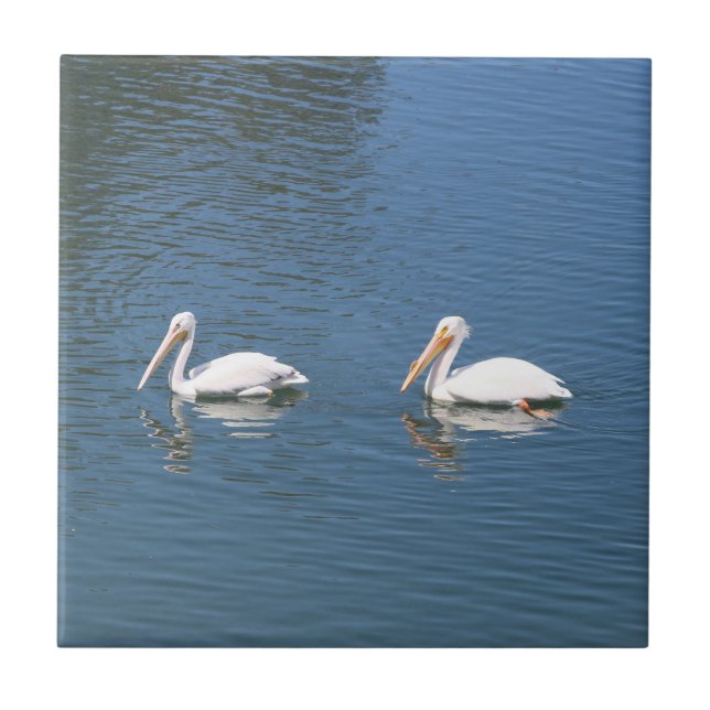 pelican-par kakelplatta (Framsidan)