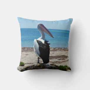 Pelican Perched on a Beach Sten, Kudde