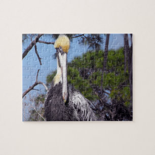 Pelican Perched Pussel