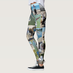 Pelican Photo Collage, Dam Leggings