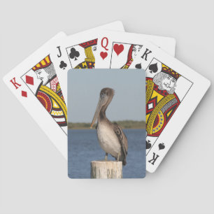 Pelican Photograph Deck of Cards Spel Kort