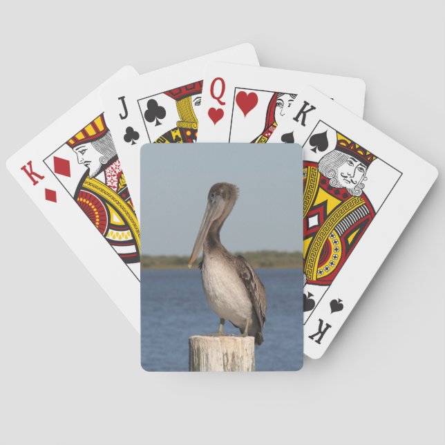 Pelican Photograph Deck of Cards Spel Kort (Baksidan)
