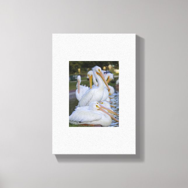 Pelican Pile Art Canvas (Framsida)