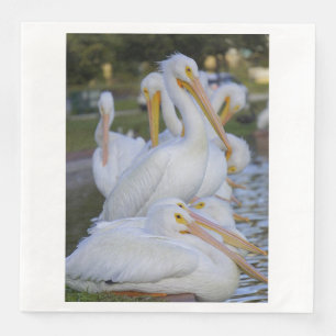 Pelican Pile Pappersservett