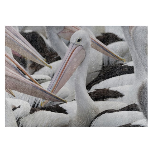 Pelican Pod (Framsidan)