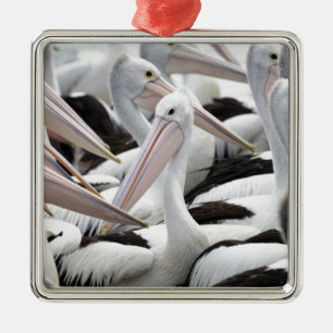 Pelican Pod Julgransprydnad Metall