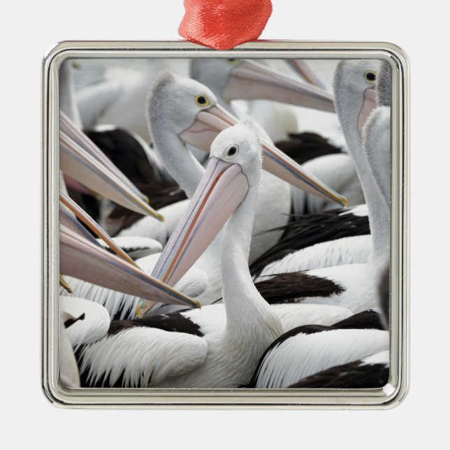 Pelican Pod Julgransprydnad Metall (Framsidan)