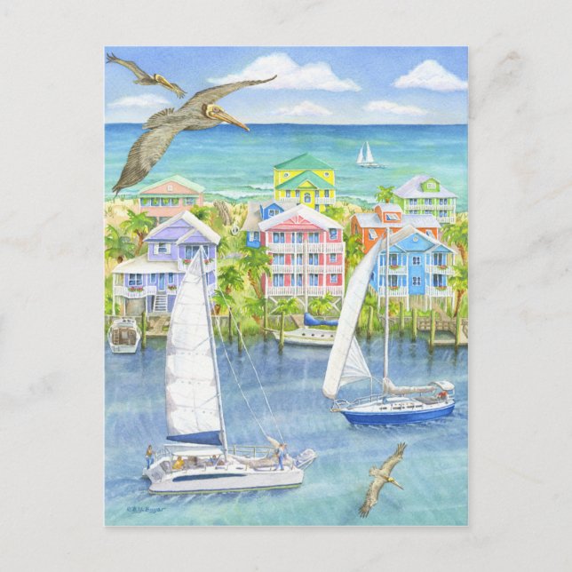 Pelican Point of View Vykort (Framsida)