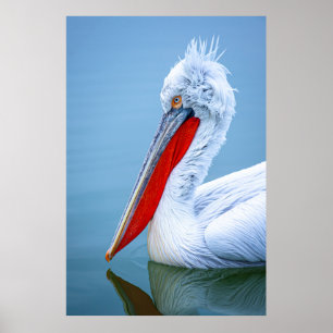 PELICAN PORTRÄTT POSTER