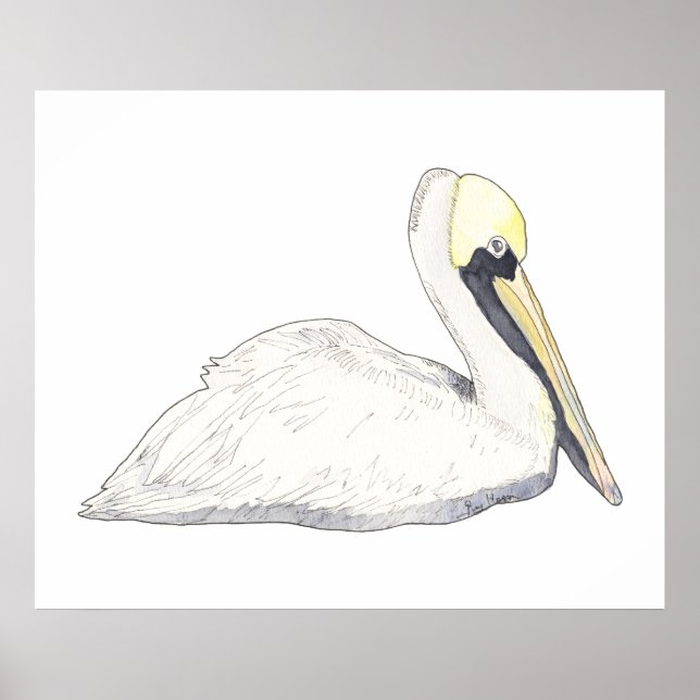 Pelican Poster och skriver ut (Framsidan)