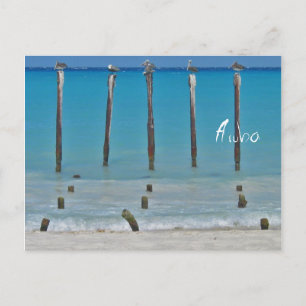 Pelican Posts Aruba-vykort Vykort