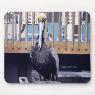 Pelican Power Musmatta